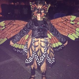 Monarch butterfly costume